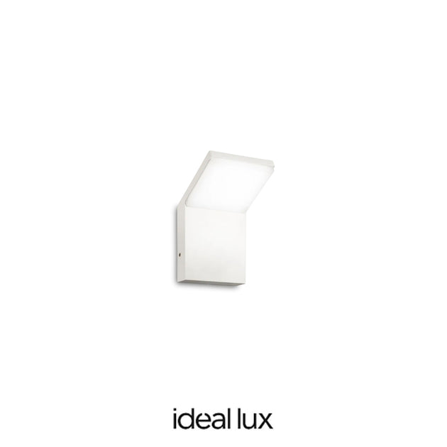 19879668