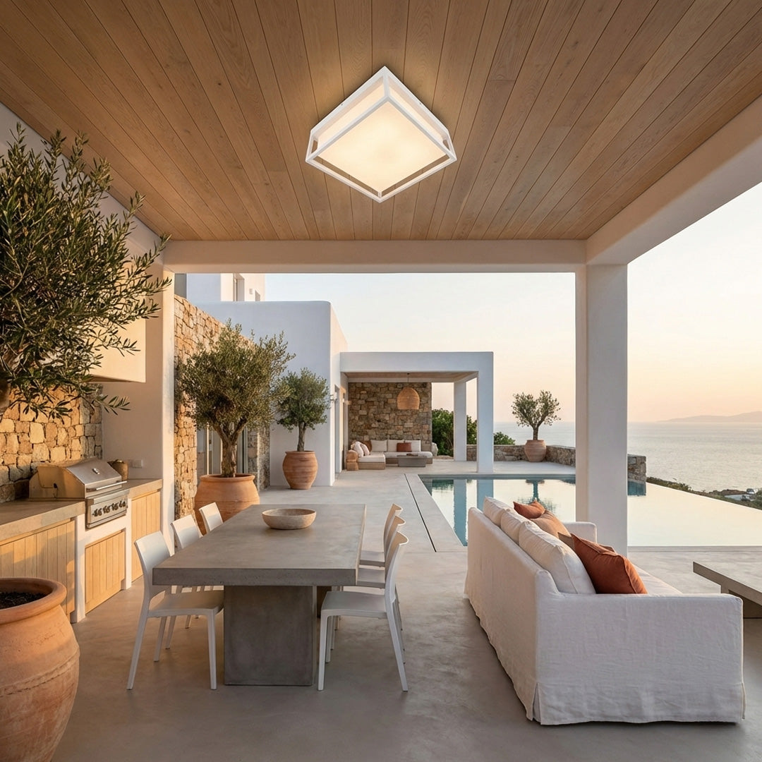 19993504
