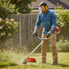 20204137
