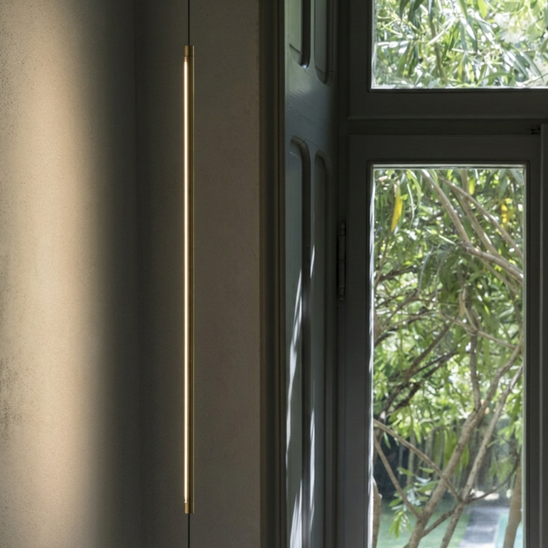20259694