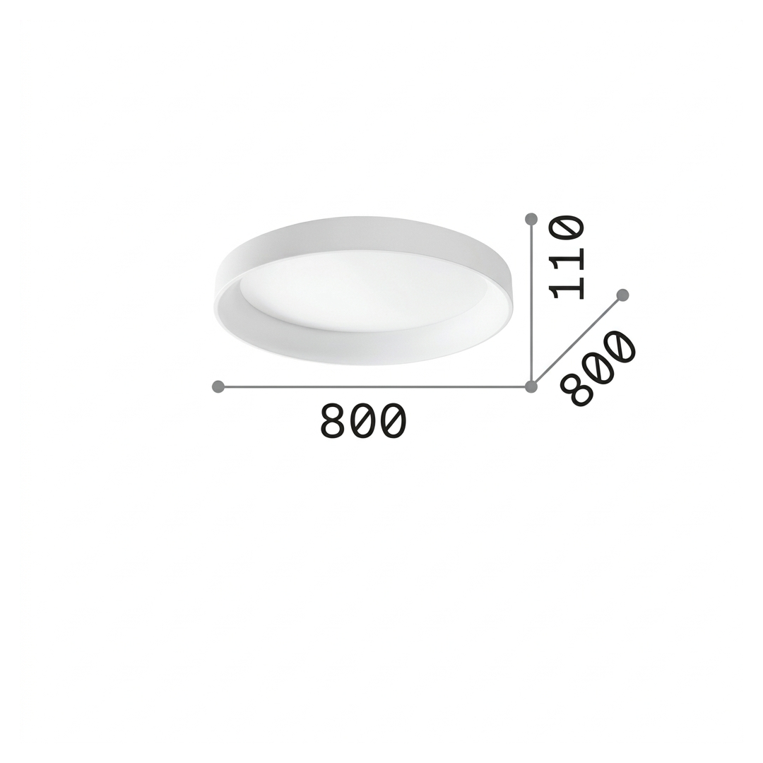 20310302