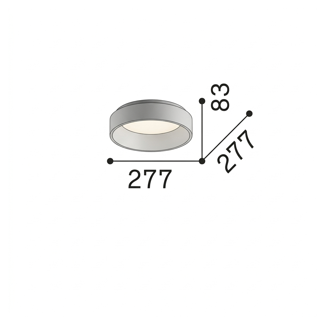 20310545
