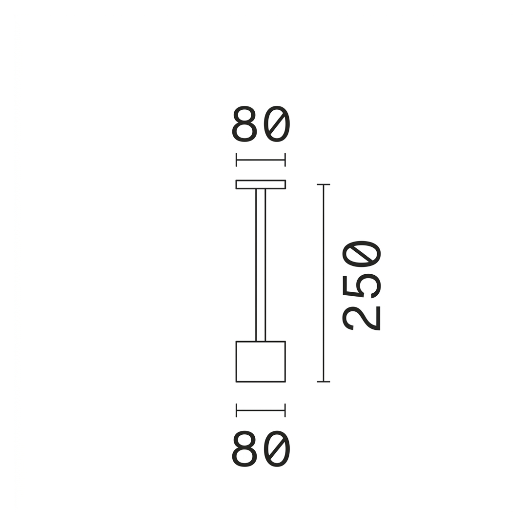 20509754