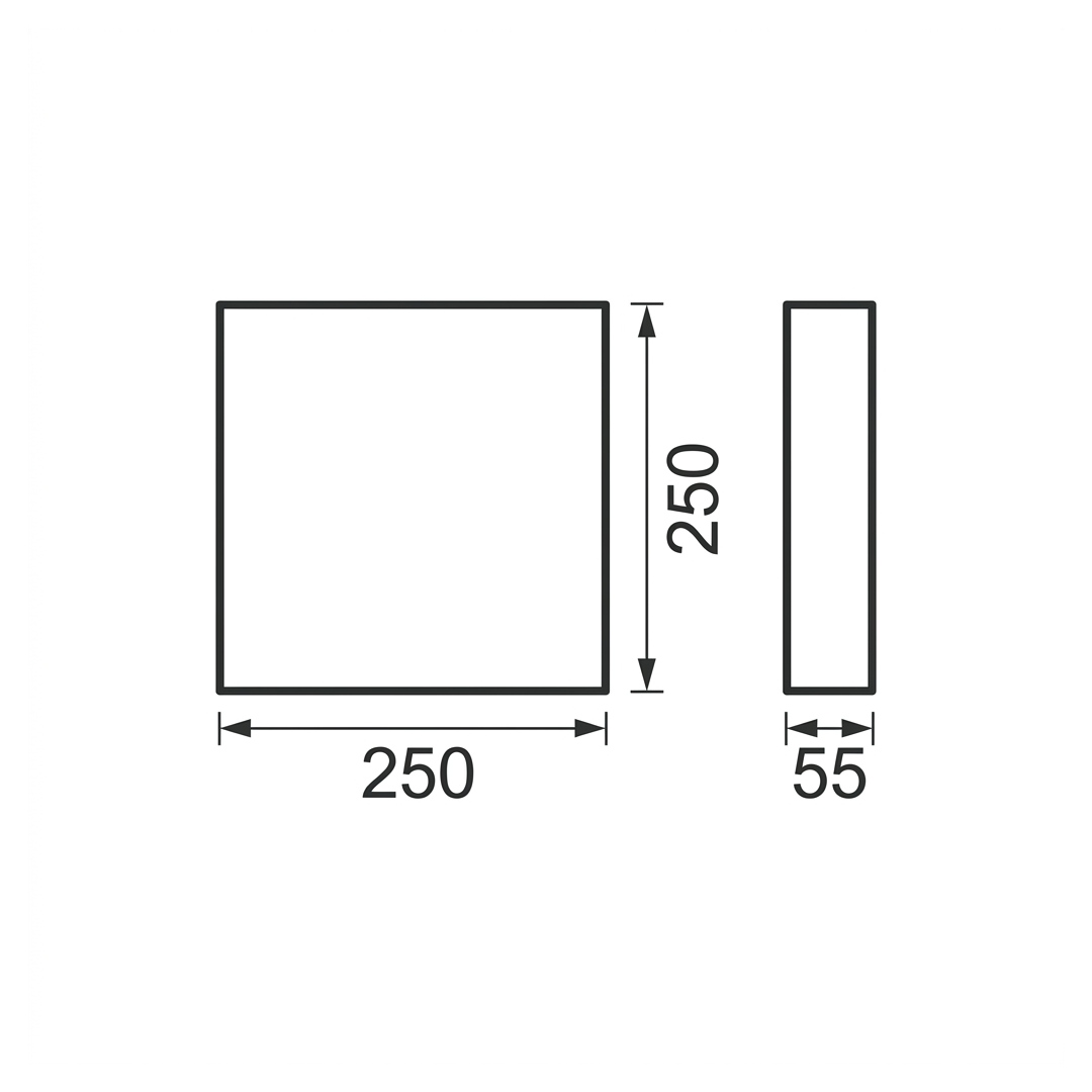 20510475