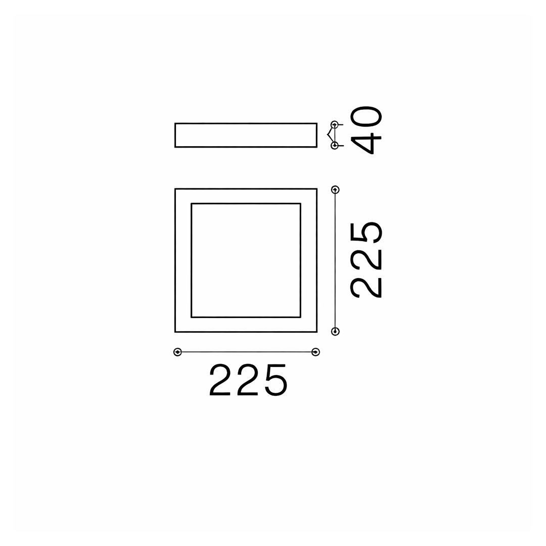 20550236