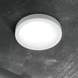 20550352
