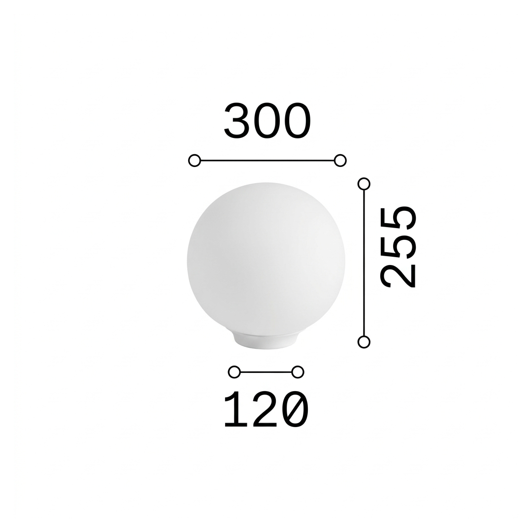 20558188