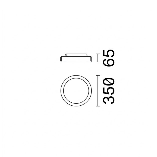 20561049