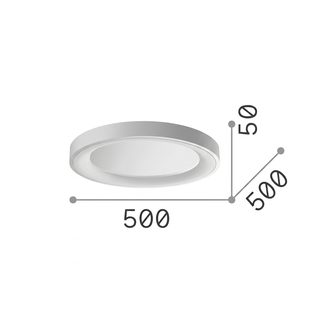 20562503