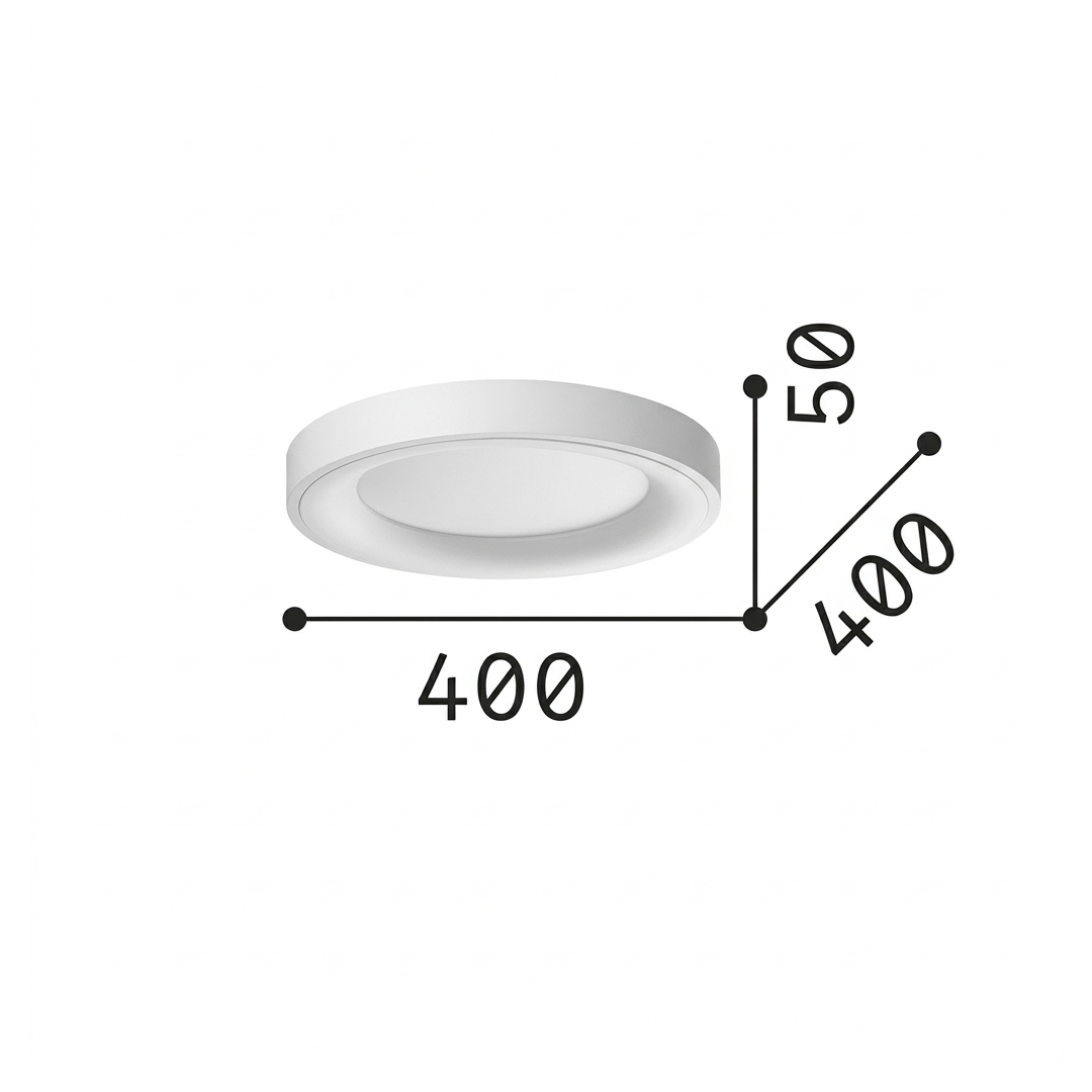 20562524