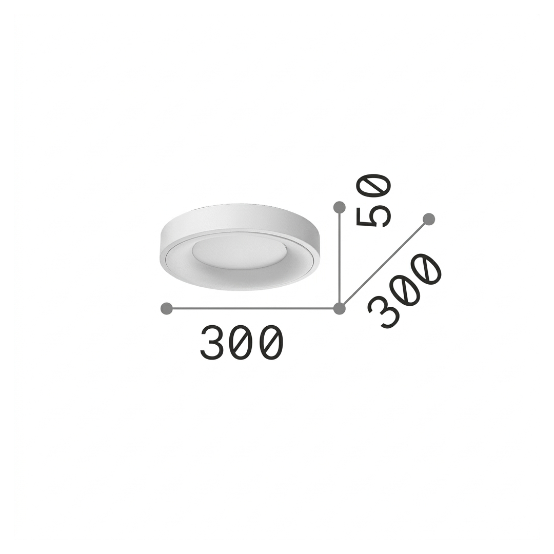 20562682