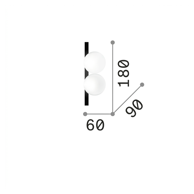 20568687