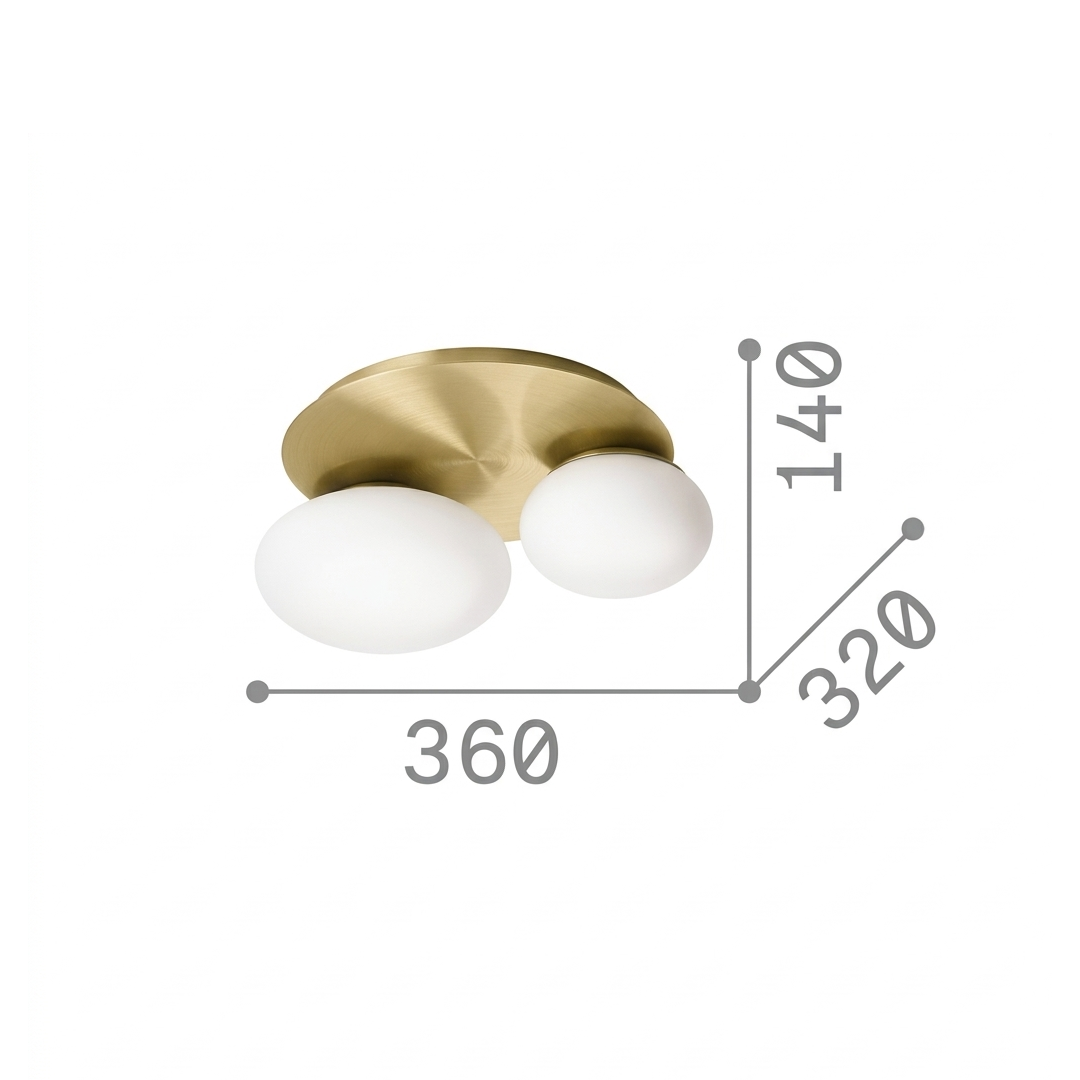 20597446