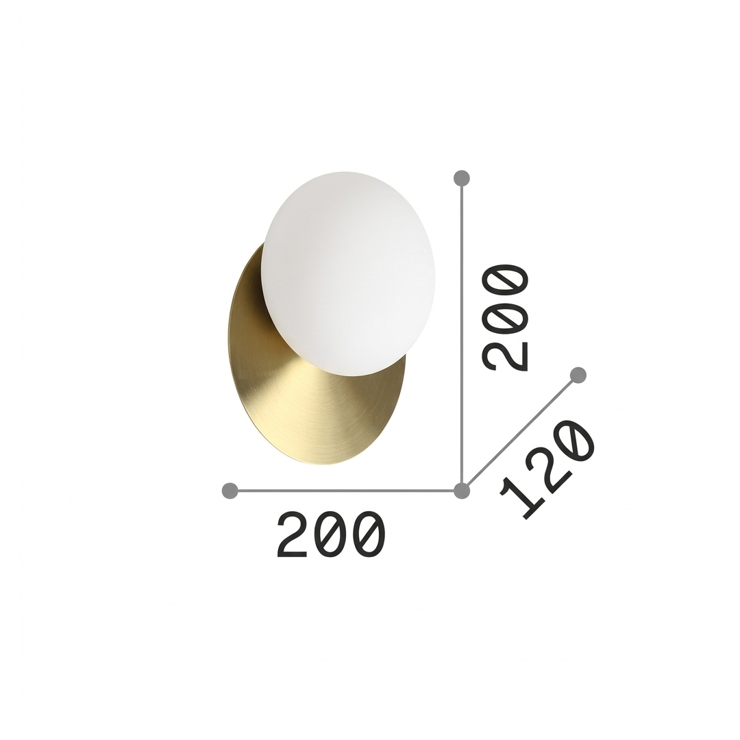 20597459