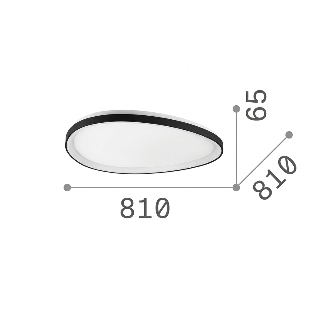 20601658
