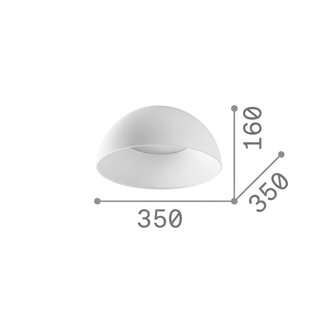 20602982