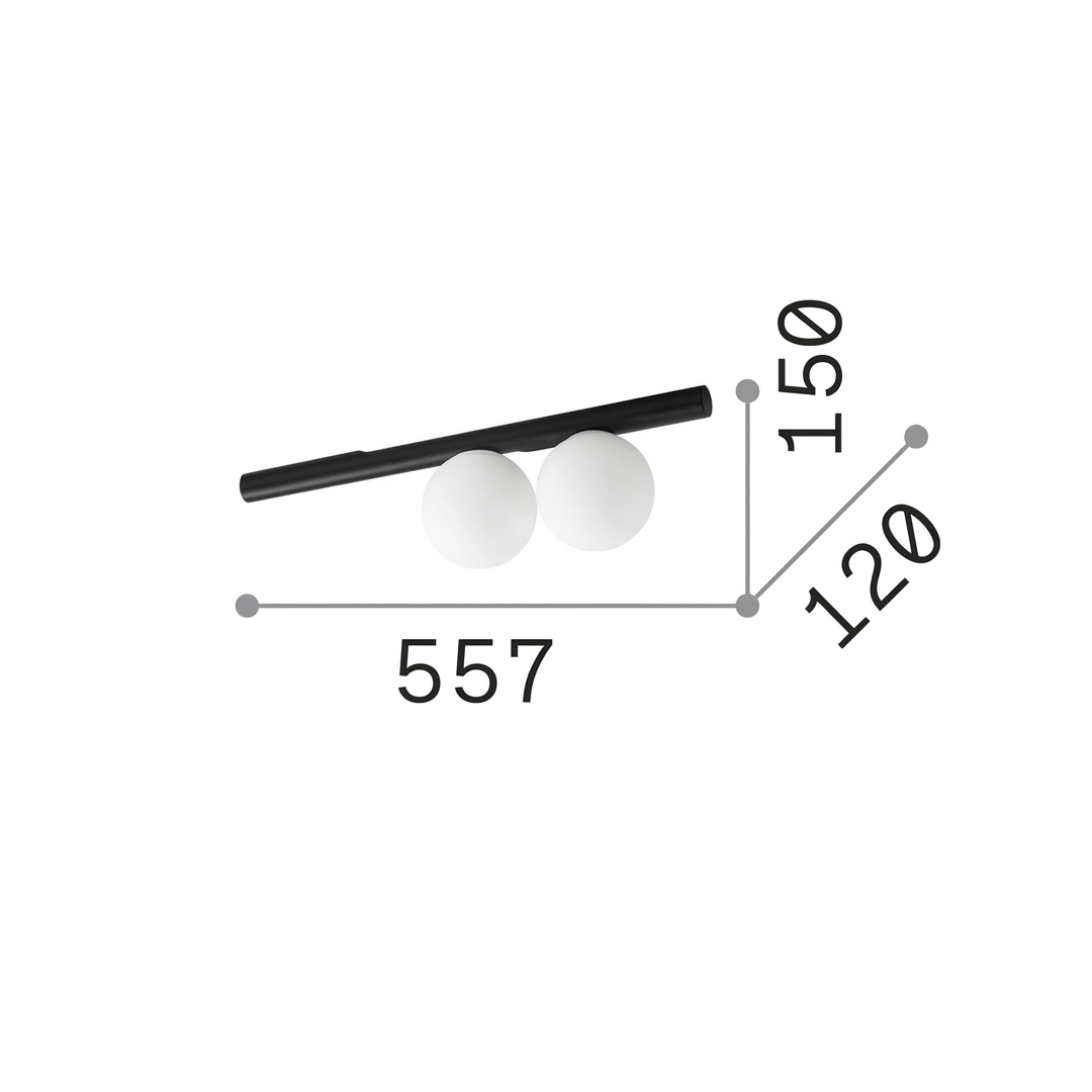 20604533