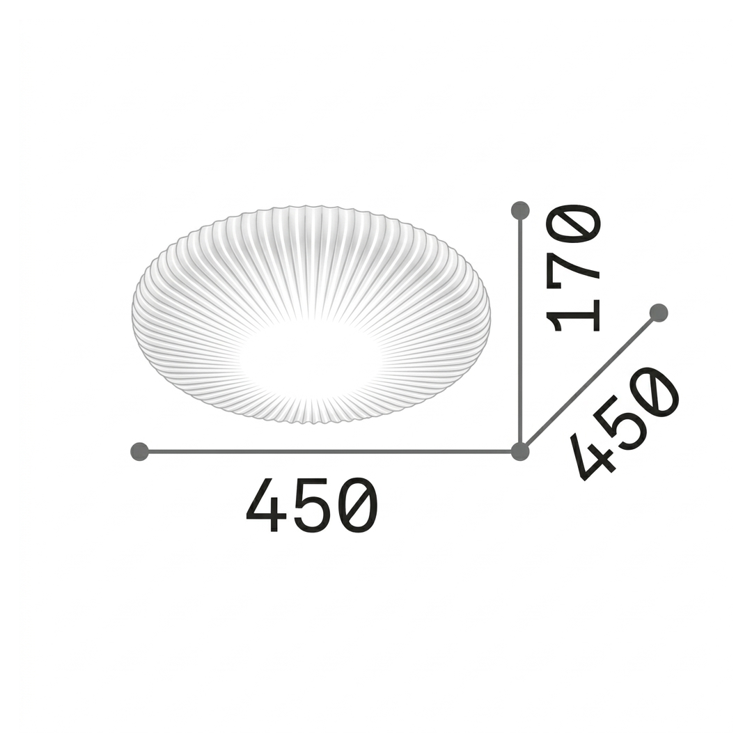 20604697