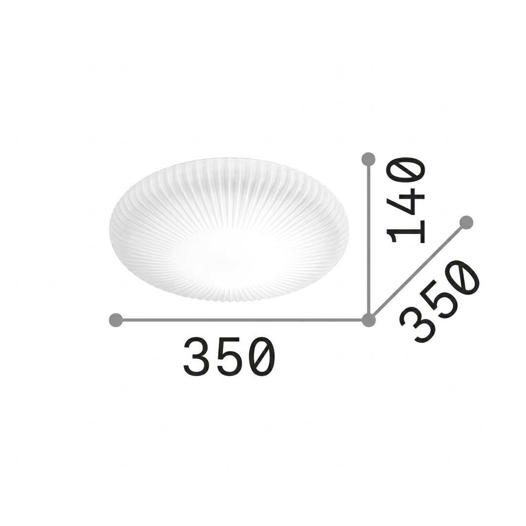 20604704