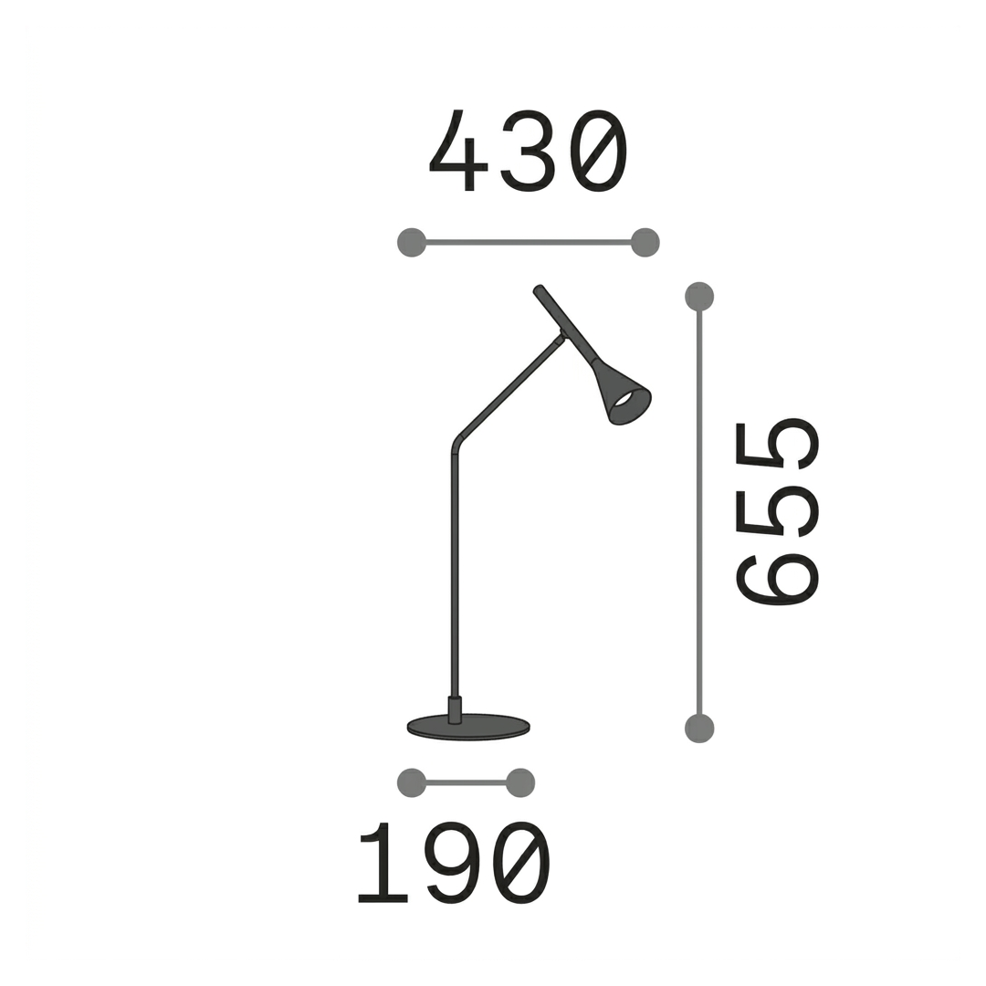 20607003