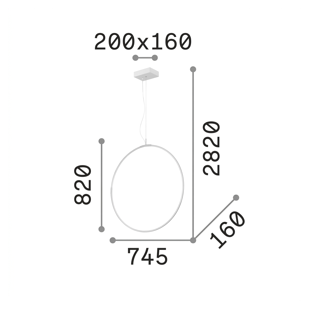 20648623