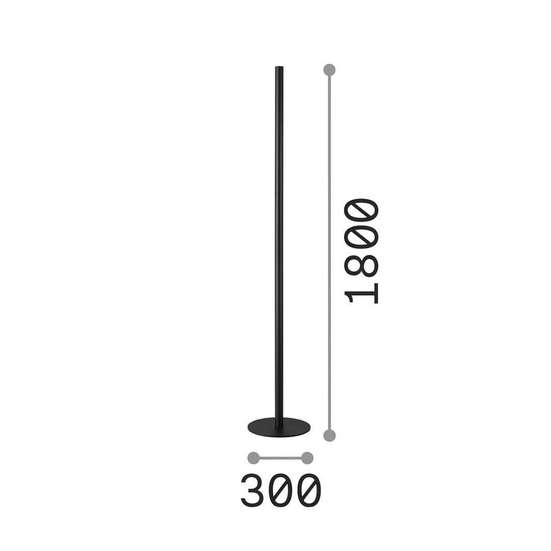 20648685
