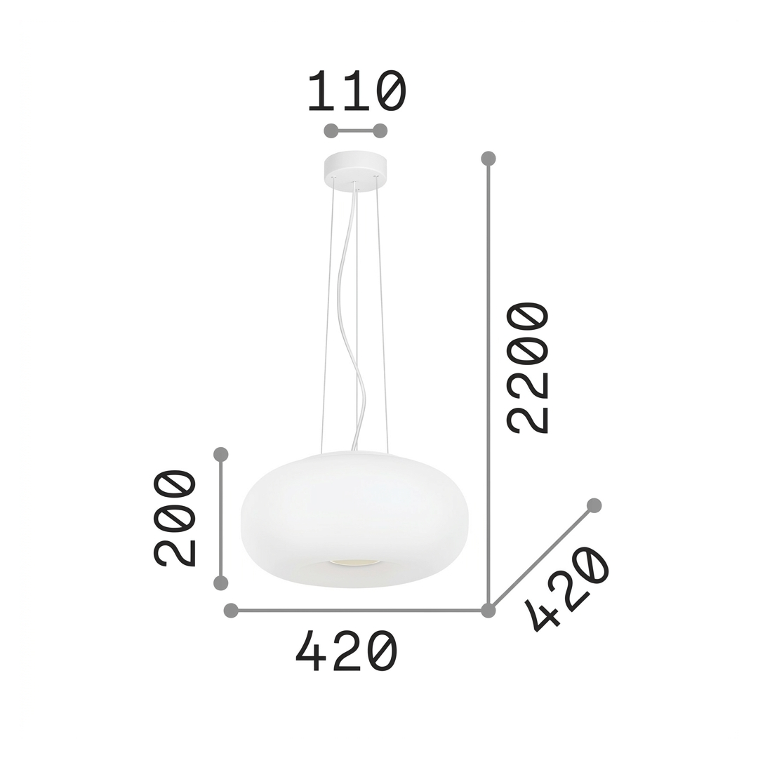 20652196