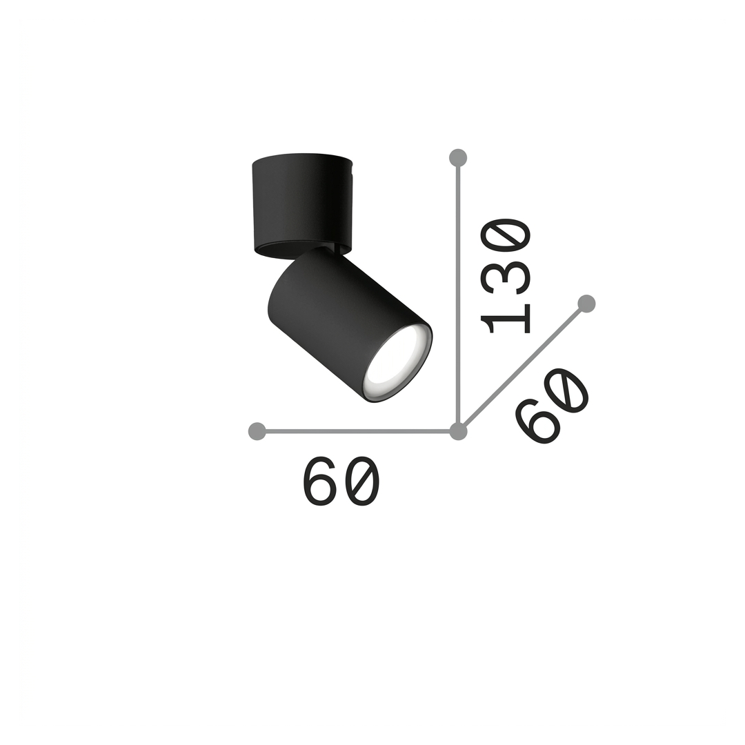 20653926