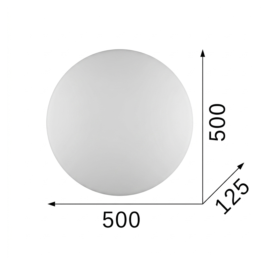 20663817