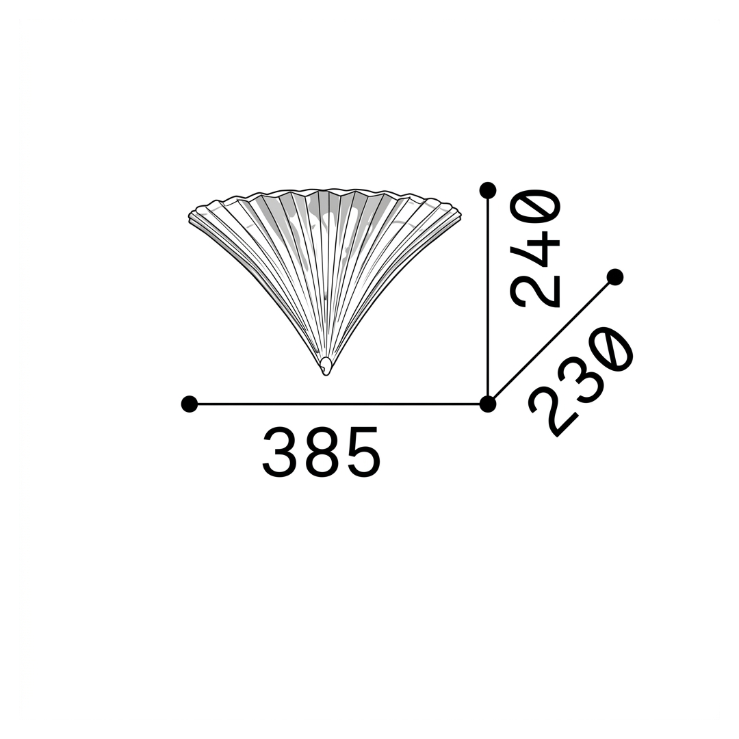 20665009