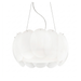 20731325
