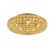 20769426