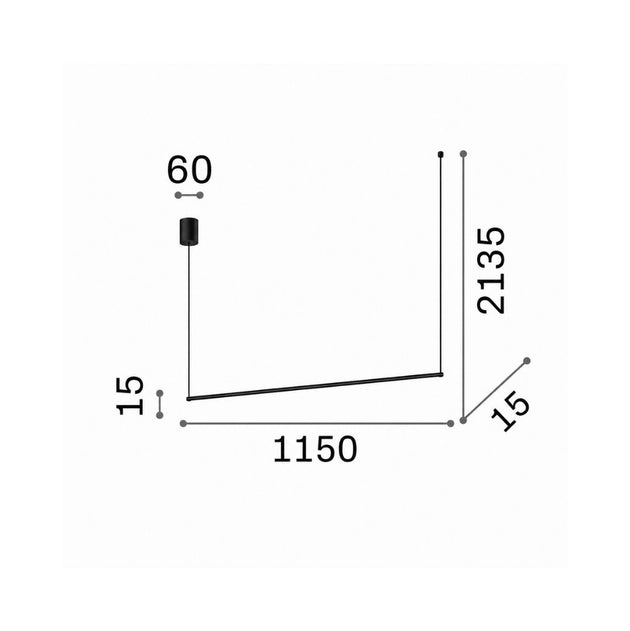 20789300