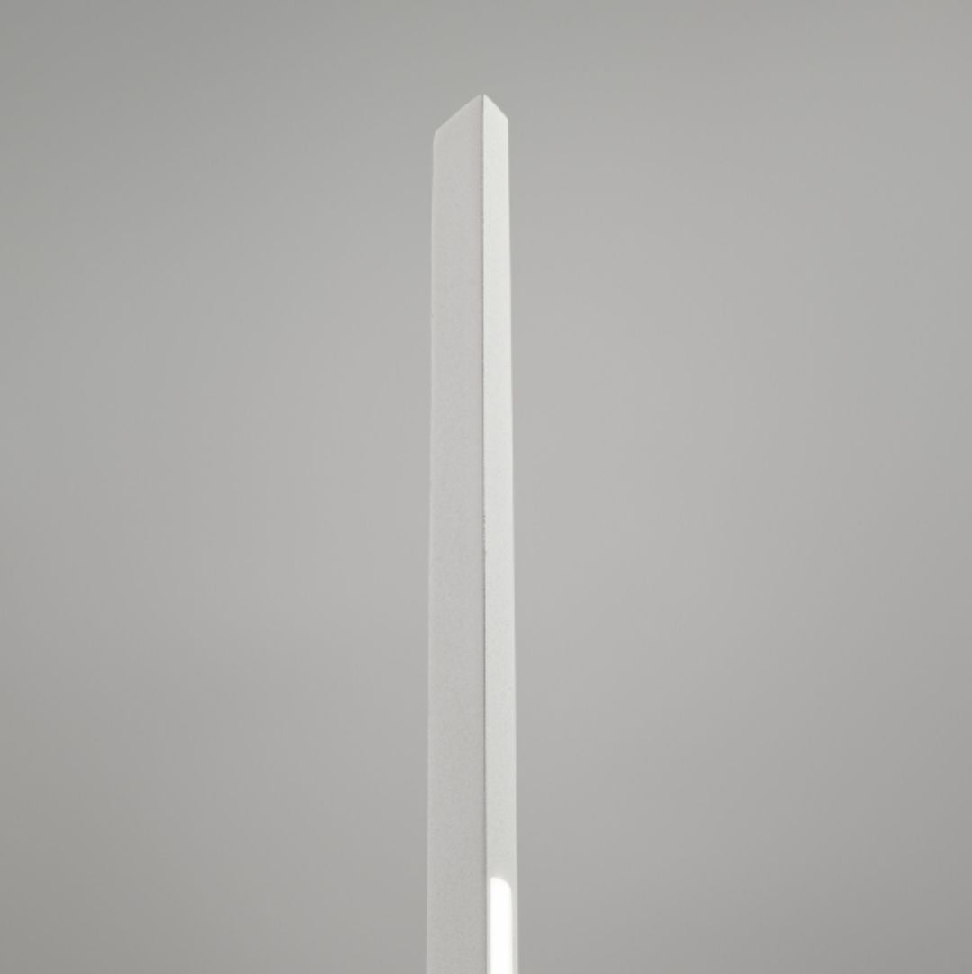 20873142