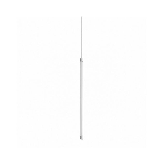 20889202