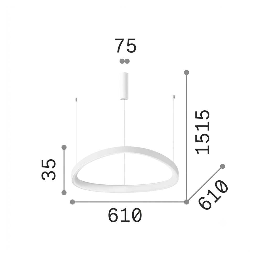 20971307