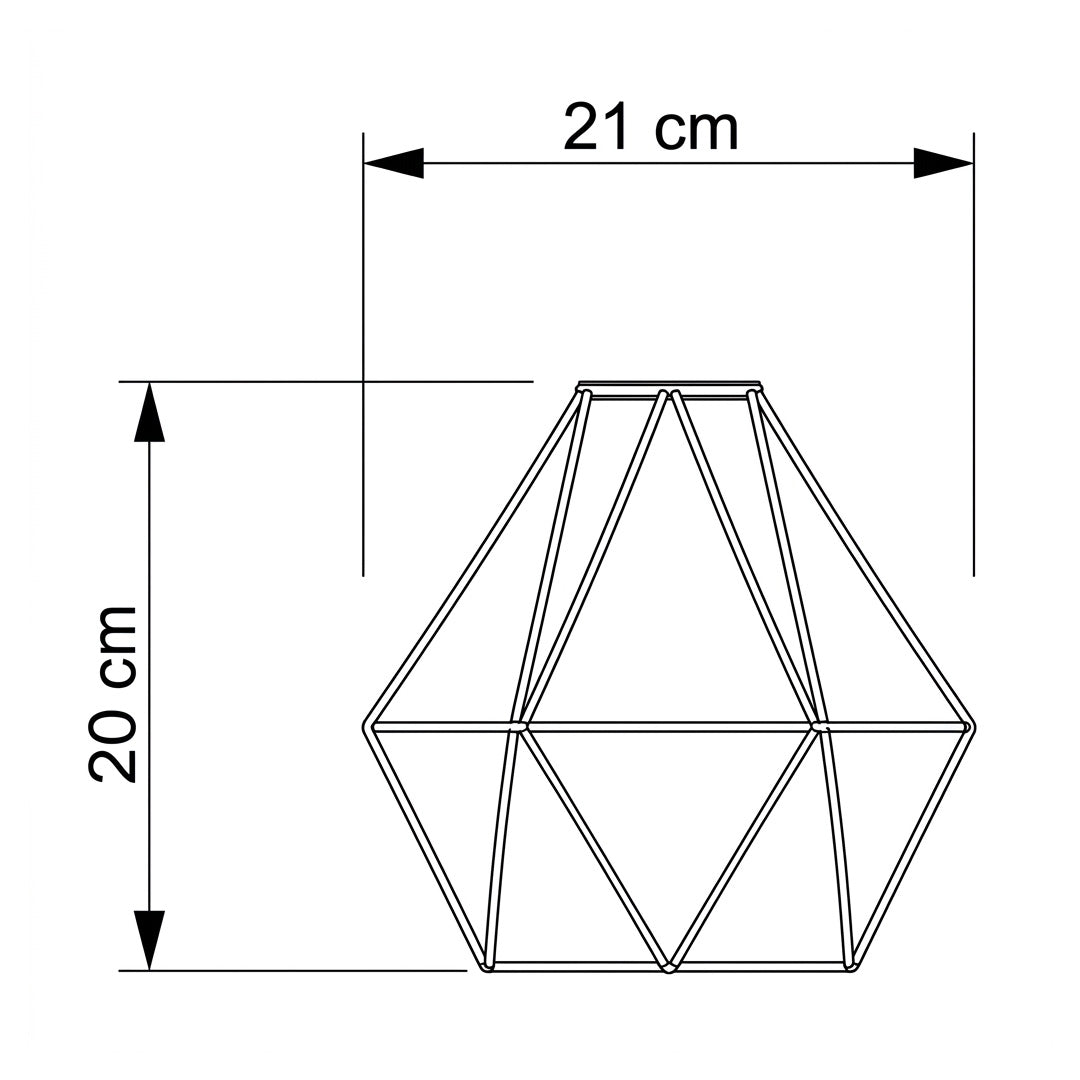 21210044