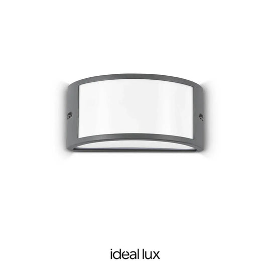 19919602