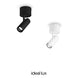 19924875