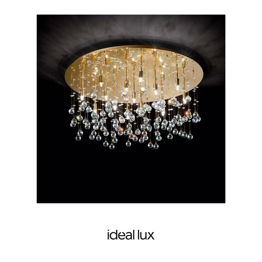 19948204