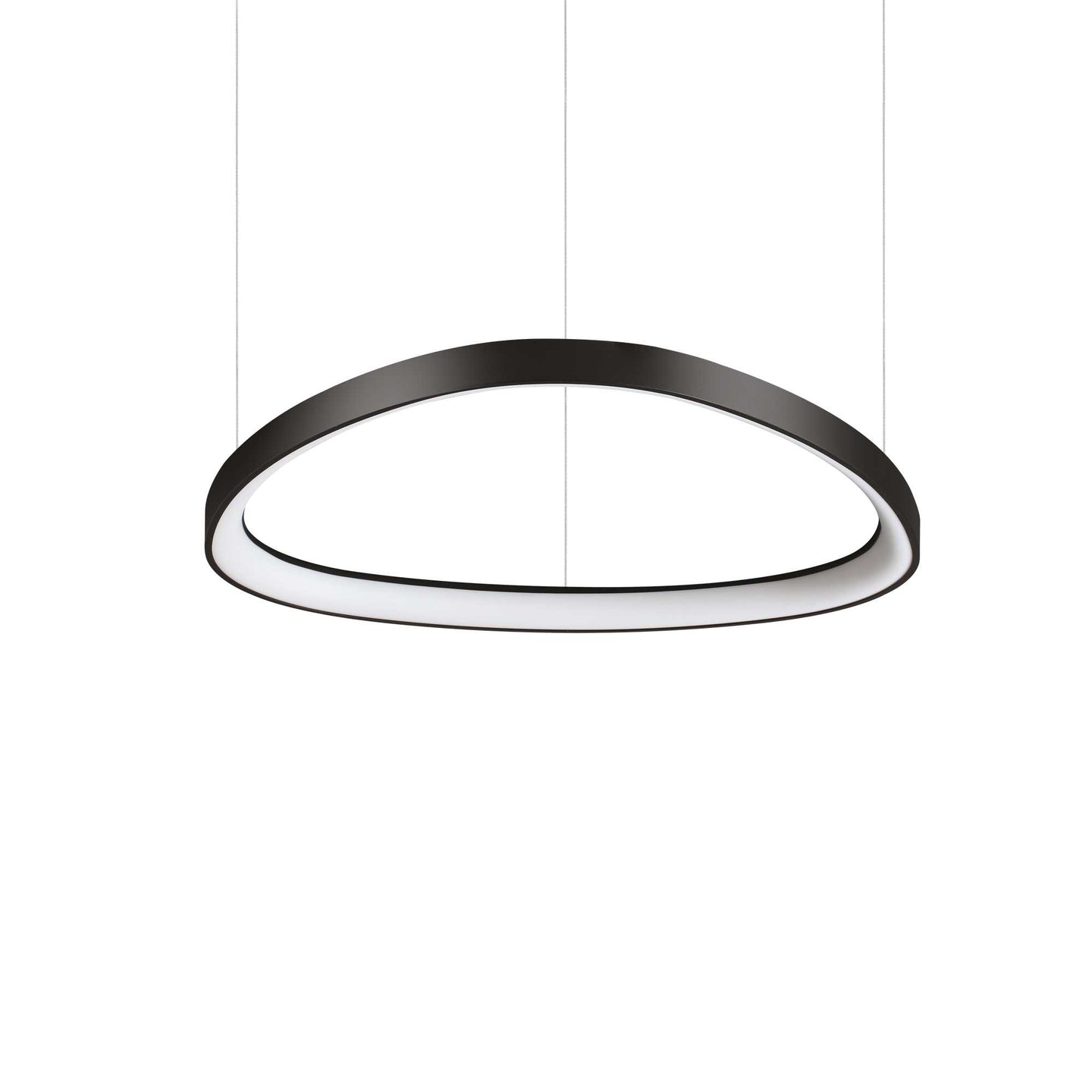 19536118